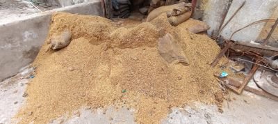 Water Affected Stock of Dry Germ